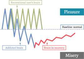 Check spelling or type a new query. How Do Drugs Affect The Brain Families For Addiction Recovery