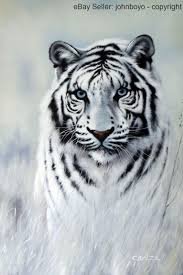 We did not find results for: Painting White Tiger Blue Eyes Big Cat Portrait Endangered Species Stretched Oil Painting Https Rover Ebay Com Rover 1 71 White Tiger Cat Portraits Big Cats