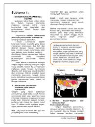 Banyak orang yang menghabiskan uang untuk memutihkan gigi dengan cepat di klinik kesehatan minyak kelapa merupakan minyak nabati hasil ekstrak dari daging kelapa dan memiliki jenis lemak. Lks Tema 3 Docx