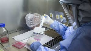 El pasado viernes, neil ferguson, destacado experto del imperial college london, afirmó que la variante delta puede ser un 60 % más contagiosa que la hallada en kent (sureste de inglaterra. La Oms Advirtio Que La Variante Delta Tiene El Potencial De Ser Mas Letal Telam Agencia Nacional De Noticias