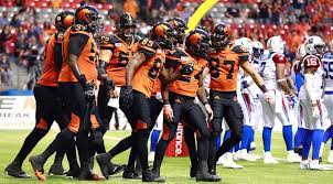 Young levelled a pantsless fan with a quick. Where Have The Bc Lions Fans Gone This Season Offside