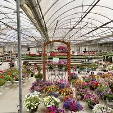 We specialize in plants, trees, shrubs, vegetables, and flowers that thrive here in utah. Nurseries Gardening In American Fork Yelp