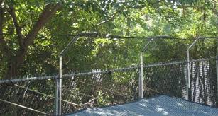 This type of fence is not a good deterrent for dogs who can tunnel their way out under the bars, or in. Peace In The Yard 7 Ways To Dog Proof Your Fence Notes From A Dog Walker