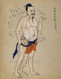 Antique Chinese Acupuncture Chart Illustration Anatomical Etsy Acupuncture Charts Acupuncture Acupuncture Points