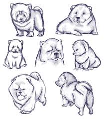 Chow Chow Puppies By Laurenkrieger On Deviantart Dog Infographic Puppy Drawing Animal Art