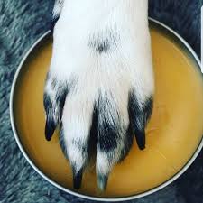 Sie Schuttet Sich Jeden Tag Cola Uber Die Haare Wie Sie 2 Wochen Spater Aussieht Ist Unglaublich Likemag Social News And Entertainment