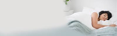 Not fall on my head!) i like the guidance i can. Murphy Beds The World S Best Wall Beds