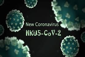 HKU5-CoV-2: Emerging Coronavirus and Global Impact