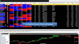 Omnesys Nest Trader Tutorial User Manual Brokers Review