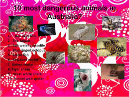 Though sharks, spiders, and snakes get the majority of bad press, it is actually an awesome array of predators and venomous critters that have earned australia its fearsome reputation. Deadly Animals Ppt Video Online Download