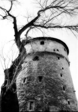Бастионные туннели: Подземное наследие Таллинна - Discover Estonia