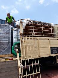 Reban ayam untuk disewa 2018. Kontraktor Reban Ayam Sistem Tertutup Projek Batu Rakit Kuala Terengganu Maria Firdaus