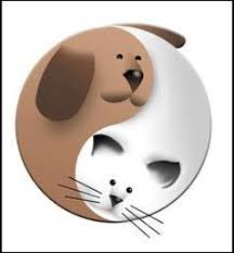 Programs supporting regular vaccination of dogs have contributed both to the health of dogs and to the public health.in countries where routine rabies vaccination of dogs is practiced, for example, rabies in humans is reduced to a very rare event. Animal Care Clinic Of Largo Home Facebook