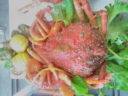 L Ile Au Vrac Plateaux De Fruits De Mer L Ile Au Vrac Facebook