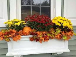 Pin By Lucie Prihodova On Outdoor Stuff Fall Window Boxes Fall Flower Boxes Window Box Flowers