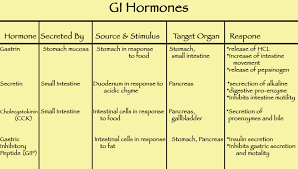 human hormones chart human hormones and endocrine