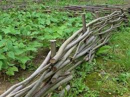 Les Bordures De Jardin Et De Potager Jardins Barriere Jardin Bordure Jardin