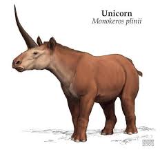 Image Result For Monokeros Plinii Ancient Animals Prehistoric Animals Extinct Animals