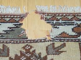 Wird ein teppich regelmäßig begangen, dann wird er in der regel nicht von motten befallen. Motten Im Teppich Was Tun Erste Hilfe Teppichreinigung Vorwerk