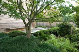 A japanese maple is one of the most easily recognizable trees thanks to its lovely red hue. Designer Visit A Garden Inspired By Japan In Westchester County New York Gardenista