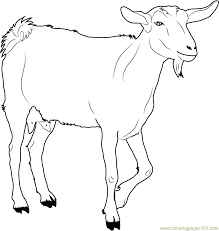 Https Bsaffunktaking Blogspot Com 2019 05 Farm Animal Coloring Pages Goat Html Farm Animal Coloring Pages Animal Coloring Pages Coloring Pages For Teenagers