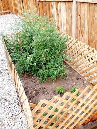 How To Dog Proof A Garden Small Backyard Gardens Backyard Garden Backyard Garden Landscape