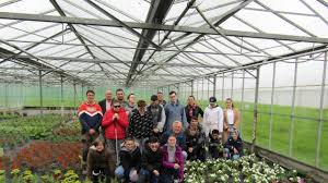 Plénée-Jugon. Des fleurs et des légumes en vente à la  Villeneuve-Sainte-Odile