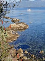 Visiter La Corse Campomoro Photos Paysage Corse Visiter La Corse