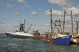F/V Jason & Danielle packing out squid june 2016, in Pt. Judith.