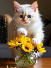 Еще один фото-привет 😉 Наши девочки