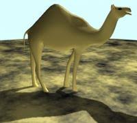 As a dedicated egyptian, i take pride in this print! Camel 3d Models To Print Yeggi Page 5