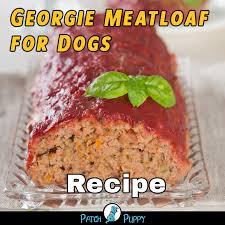 Pup Loaf 13 Dog Meatloaf Recipes Your Dog Is Sure To Love Healthy Dog Food Recipes Dog Meatloaf Recipe Dog Food Recipes