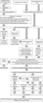 Unfortunately, many dogs with liver cancer are asymptomatic until the tumor reaches a large enough size to cause problems, which makes it a hard disease to. Diagnostic Algorithm Of Hepatocellular Carcinoma Classics And Innovations In Radiology And Pathology Intechopen