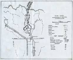 Image result for Newtonia