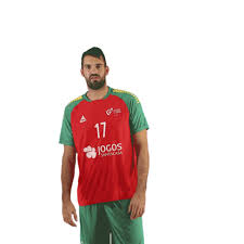 Current roster & active players european competitions season results history statistics ehf: Ehfeuro Sticker By Federacao De Andebol De Portugal For Ios Android Giphy