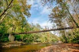 Some of the most popular spots for photography include cascade falls, swinging bridges, and streams. Patapsco State Park