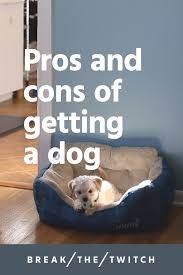 Pros and cons of having a dog. A Minimalist Perspective Pros And Cons Of Getting A Dog Break The Twitch