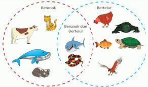 We did not find results for: Cara Perkembangbiakan Hewan Secara Generatif Ilmu Peternakan