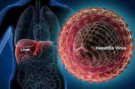 Overview of hepatitis b virus mutations and their implications in the management of infection/ p. Jenis Virus Hepatitis Apa Perbedaannya Hello Sehat