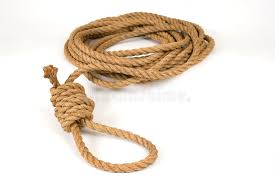 Maybe you would like to learn more about one of these? 128 Hangmans Noose Photos Free Royalty Free Stock Photos From Dreamstime
