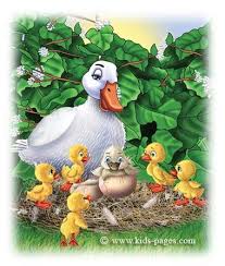 Download now wallpaper burung air paruh itik angsa dan angsa bulu. Kasih Suci Anak Itik Yang Hodoh