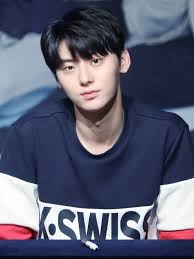 South korean talent agency pledis entertainment . Insight