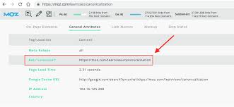Mozbar Canonical Tag Audit Learn Seo Seo Learning