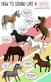 Thousands of new png image resources are added every day. Lustiges Gerausche Raten Wie Klingen Tiere Auf Amerikanisch Psychophilie