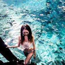 絶景の湖 triproud 絶景 セノーテ 湖