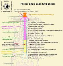 acupressure meridian chart 2019