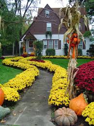 Halloween Outdoor Decorations Autumn Garden Fall Landscaping Garden Mum