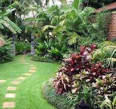 What should you add to make your backyard have the real tropical touch? Pin On Garden