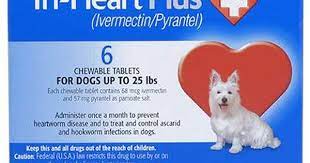 Tri Heart Plus 1800petmeds Heartworm Pet Meds Heartworm Disease