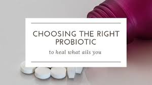 which probiotics to choose high